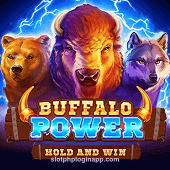 Buffalo Power slot game card